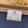 Glimmering Earrings ER1220